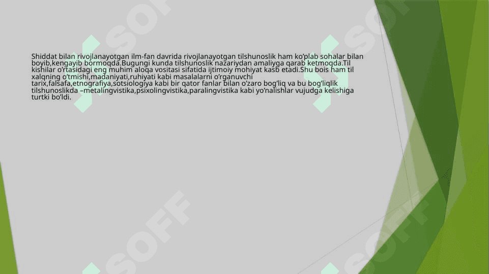 Paralingvistika 2