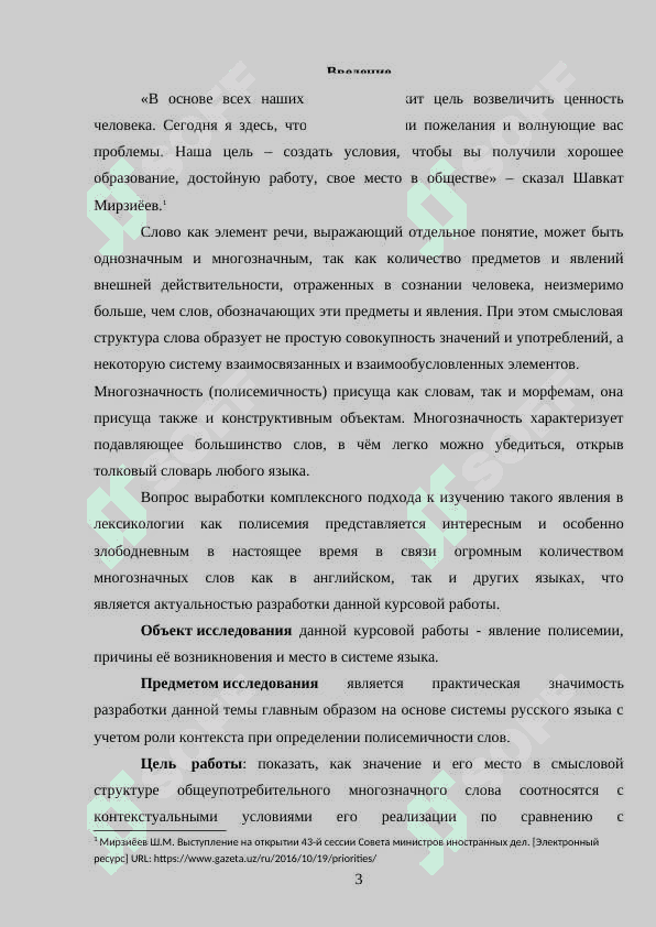 Специфические черты смысла  многозначного слова  (на материале произведений русских классиков 19-20 в) 3