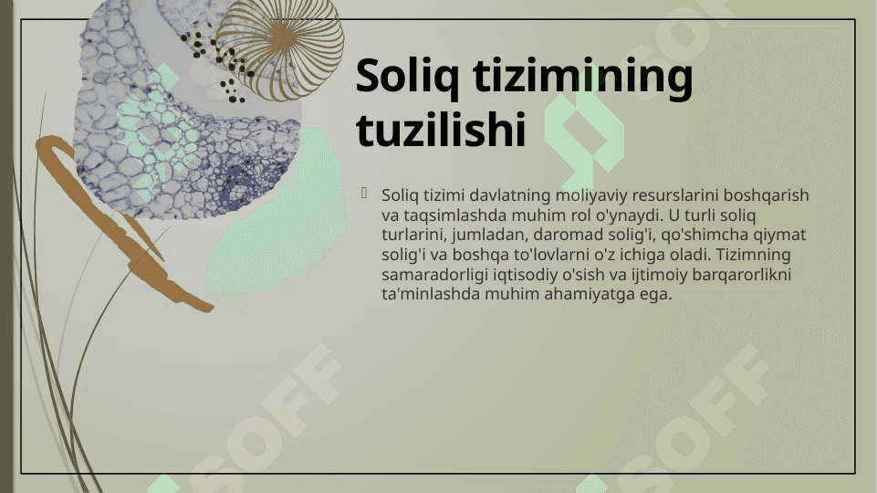 Soliq hisobotining tizimi va siyosati 8