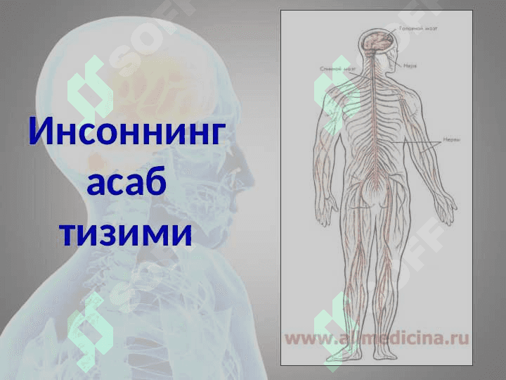 Дизартрияни ўрганишнинг илмий назарий асослари 6
