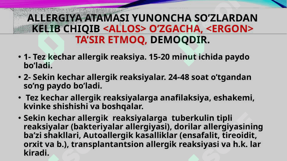 ALLERGIYA 3