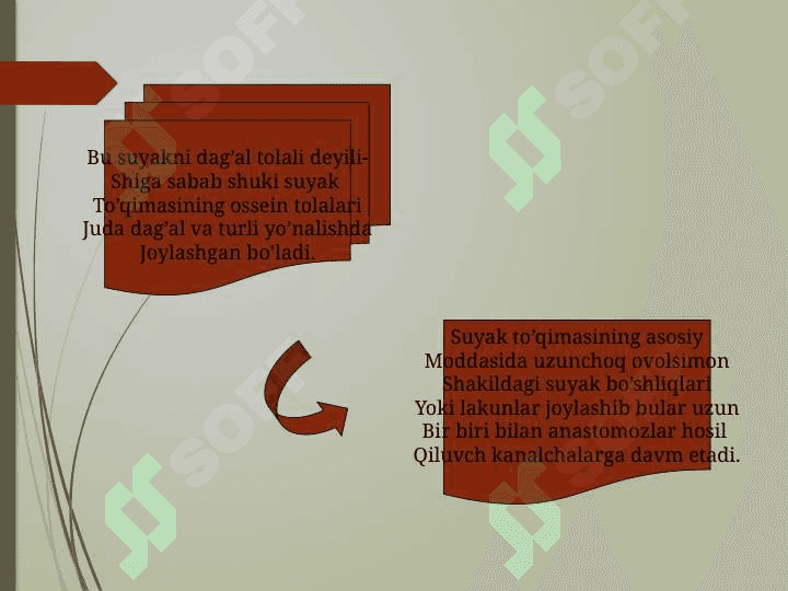 Suyak to`qimasi 5
