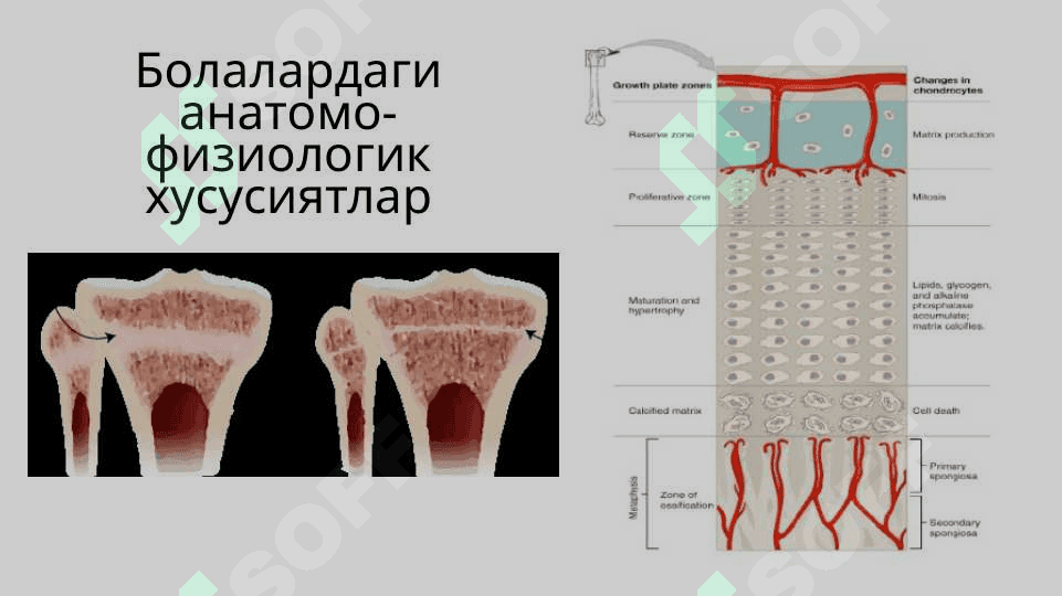 Bolalarga xos sinishlar . БОЛАЛАРГА ХОС СИНИШЛАР 7