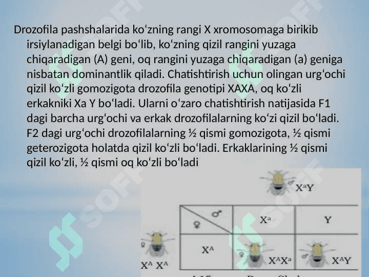 Belgilarning birikgan holda irsiylanishi 4
