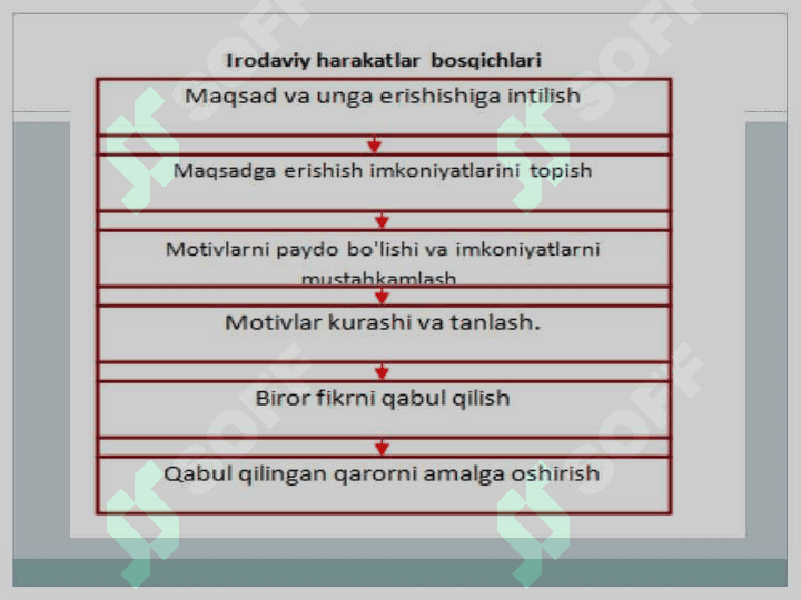 Iroda nazariyalari 6