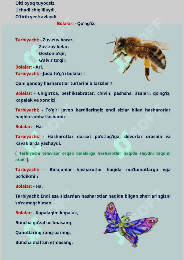 Hasharotlar mavzusida rang barang dars ishlanma 2