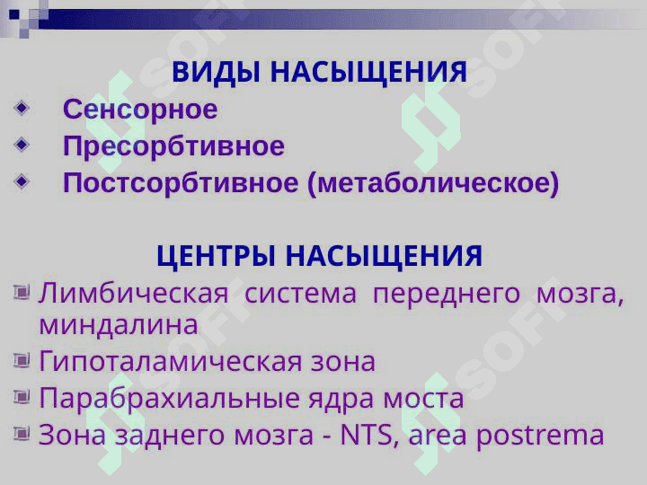ПИЩЕВАРЕНИЕ В ПОЛОСТИ РТА И ЖЕЛУДКЕ 4