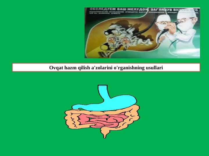 Ovqat hazm qilish a'zolarini o'rganishning usullari 1