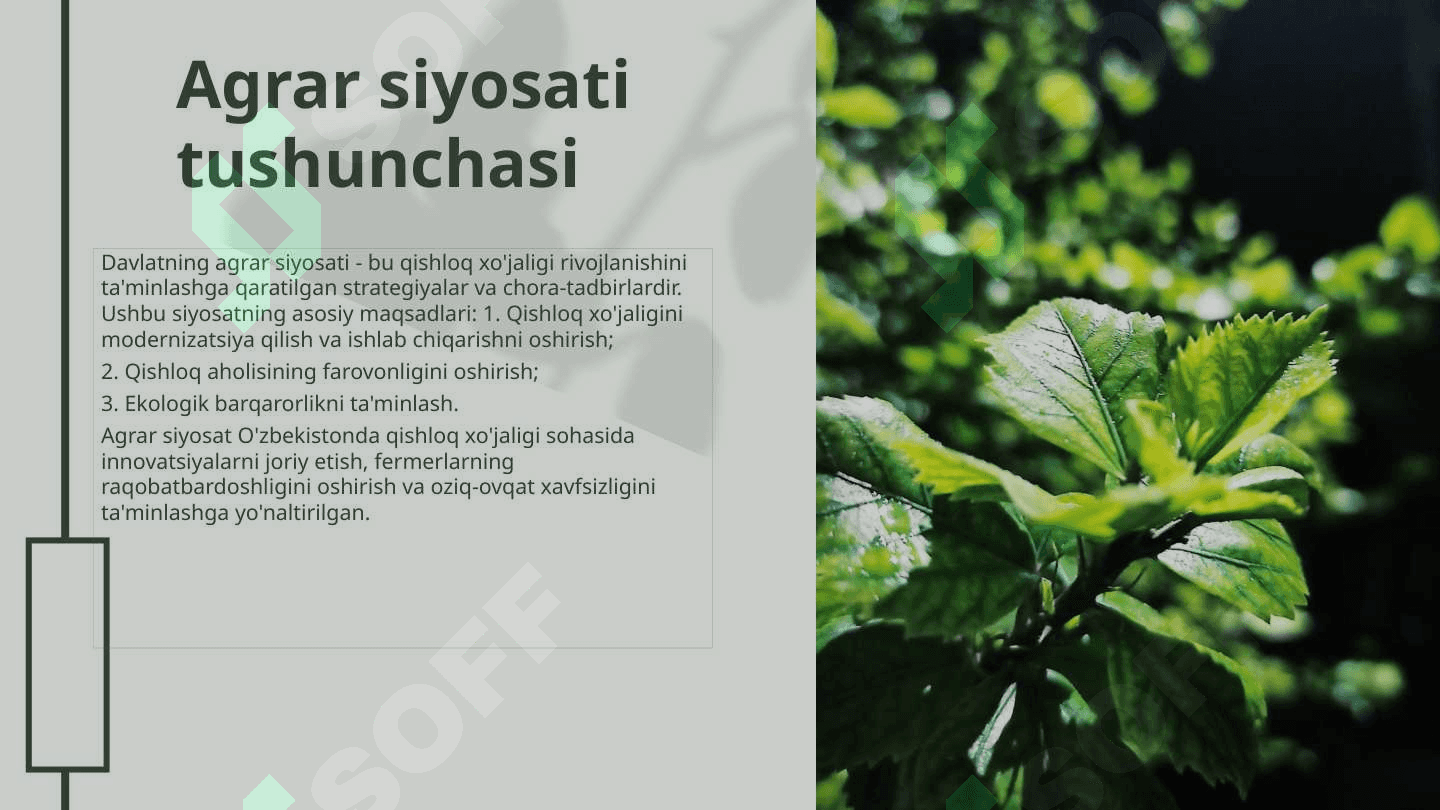 Davlatning agrar siyosati va uning O‘zbekistondagi xususiyatlari 3