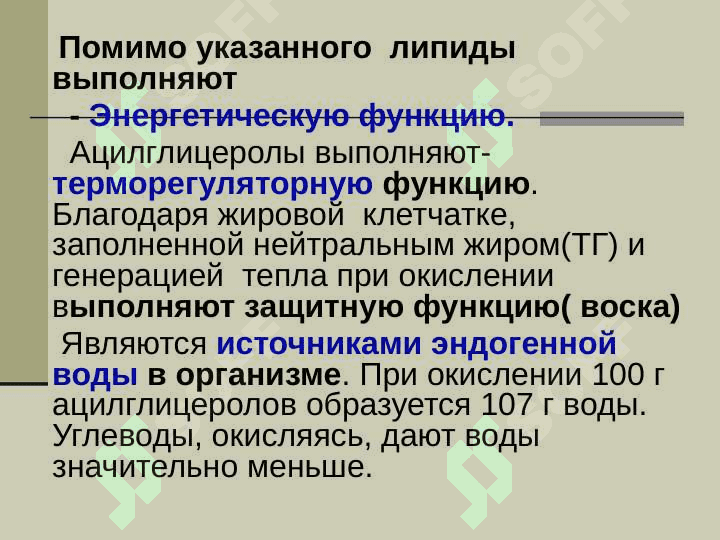 Строение функции и метоболизим липидов 7