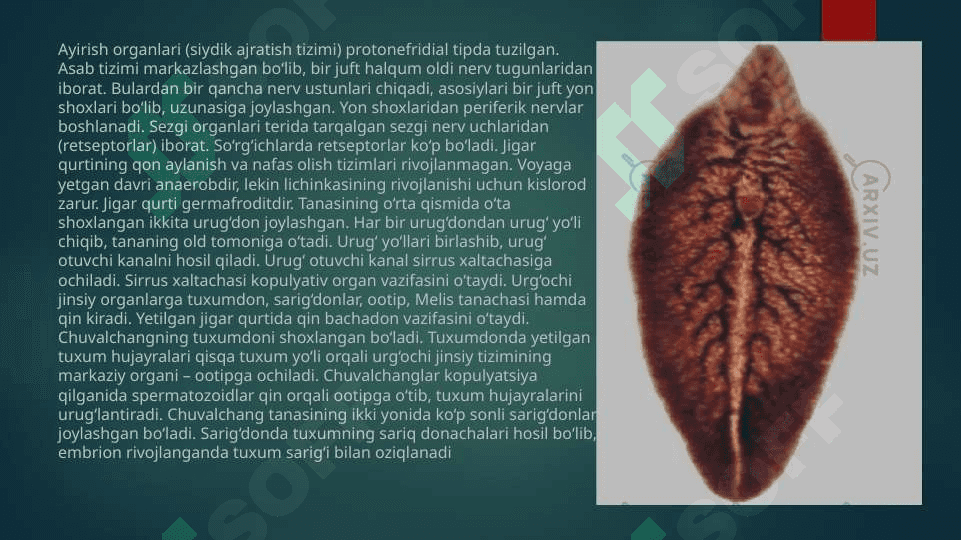 YASSI CHUVALCHANGLAR ODAM PARAZITLARI SO'RIG'ICHLILAR JIGAR QURTI MUSHUK  SO'RIG'ICHI LANSETSIMON SO'RIG'ICH 6