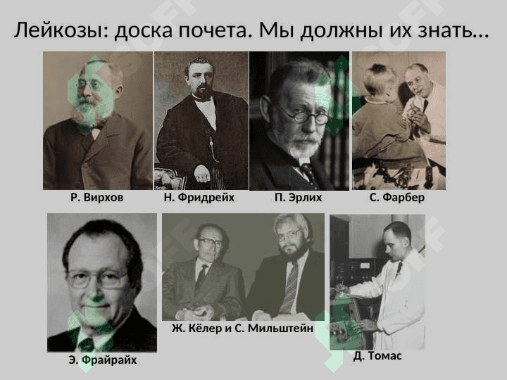 Гемобластозы 3