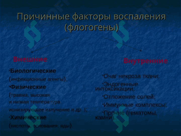 Патофизиология воспаления 3