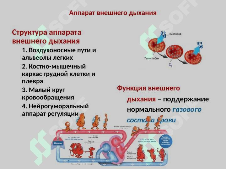 Патофизиология дыхания 4