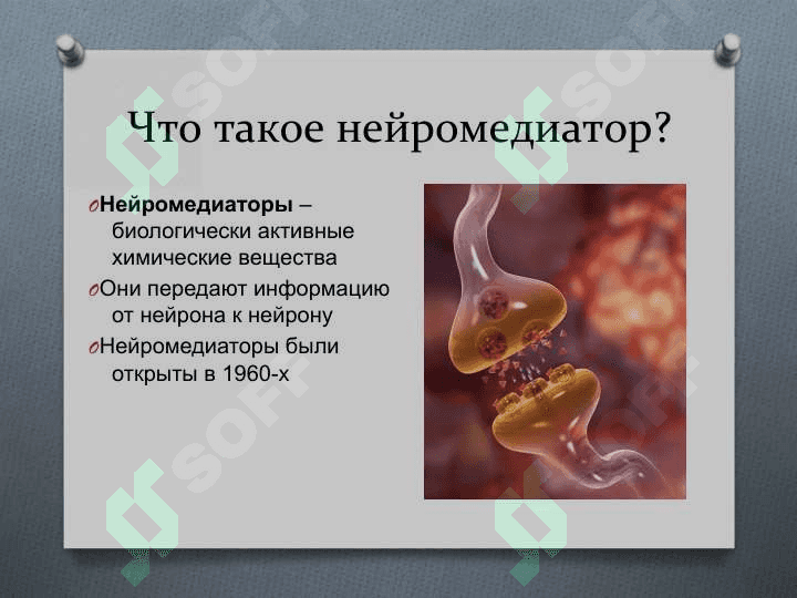 Нейромедиаторы 2