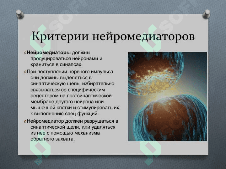 Нейромедиаторы 5