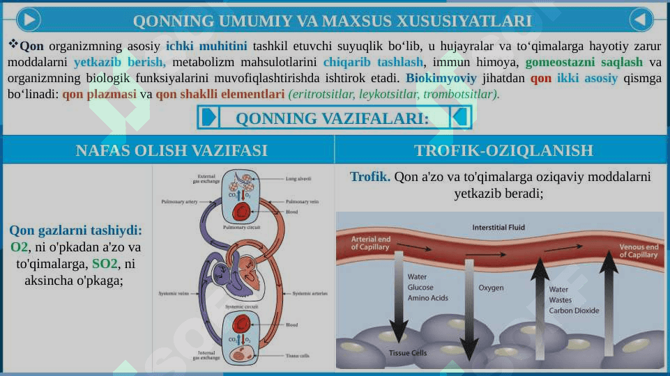 Qon biokimyosi. Qonning tarkibi va ularning vazifalari. Qon plazmasi oqsillari 3