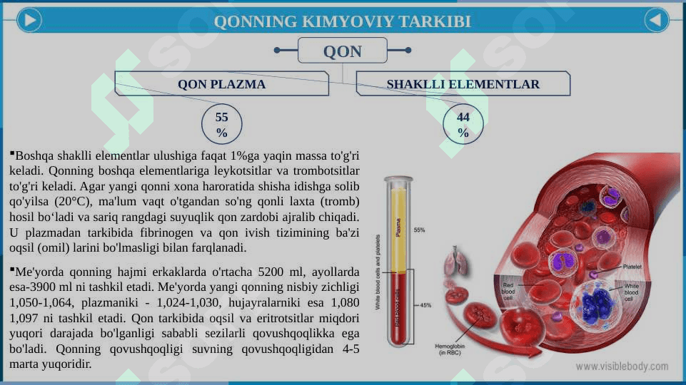 Qon biokimyosi. Qonning tarkibi va ularning vazifalari. Qon plazmasi oqsillari 5