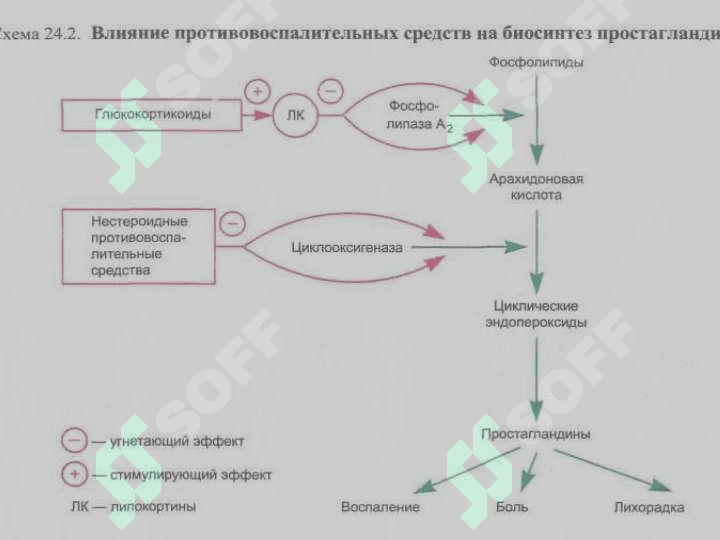 Яллигланишга карши воситалар 2