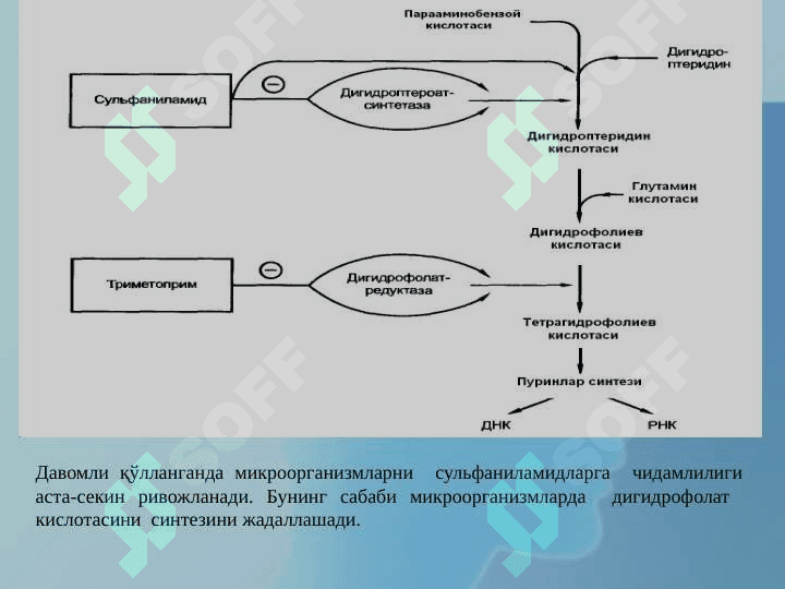 СУЛФАНИЛАМИД ПРЕПАРАТЛАРИ 6