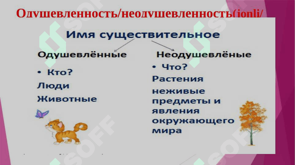 ЧАСТИ  РЕЧИ 8