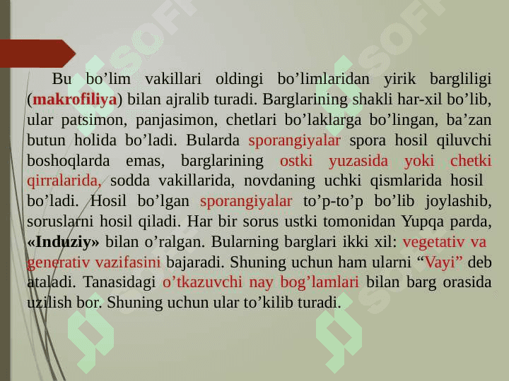 QIRQQULOQTOIFA (ROLYPODIOPHYTA) O’SIMLIKLAR BO’LIMI 3
