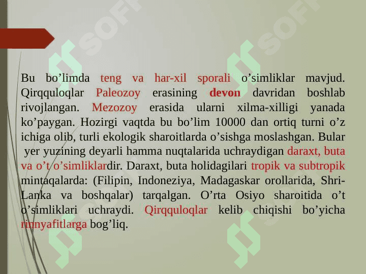 QIRQQULOQTOIFA (ROLYPODIOPHYTA) O’SIMLIKLAR BO’LIMI 4