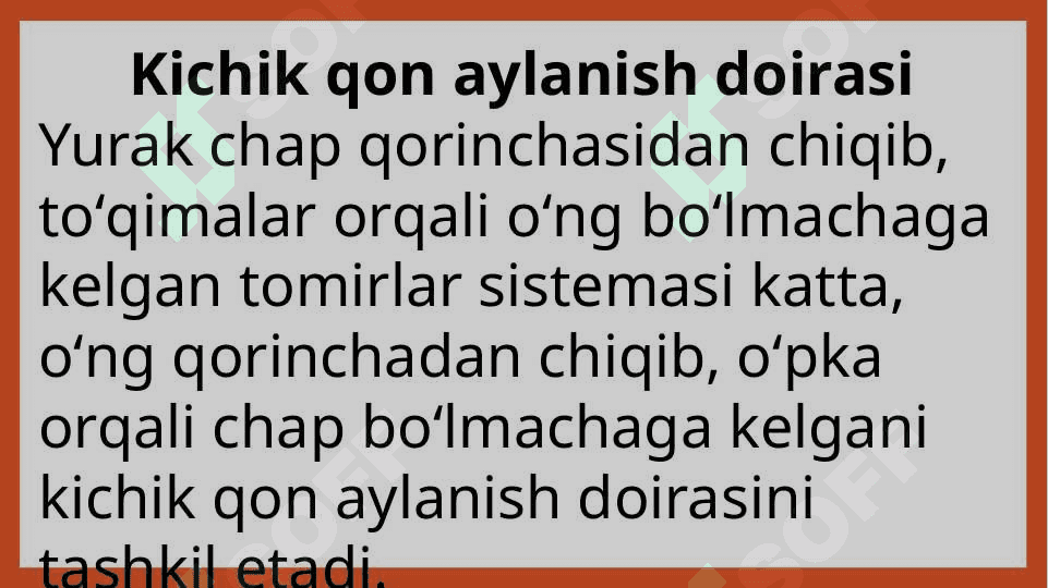 Qon aylanish sistemasi 8
