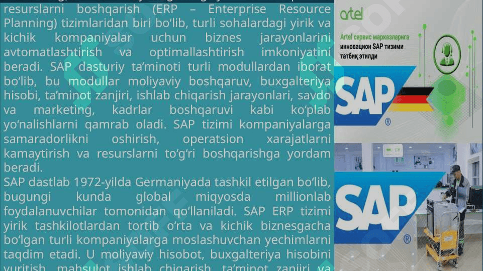 Sap tizimi 2