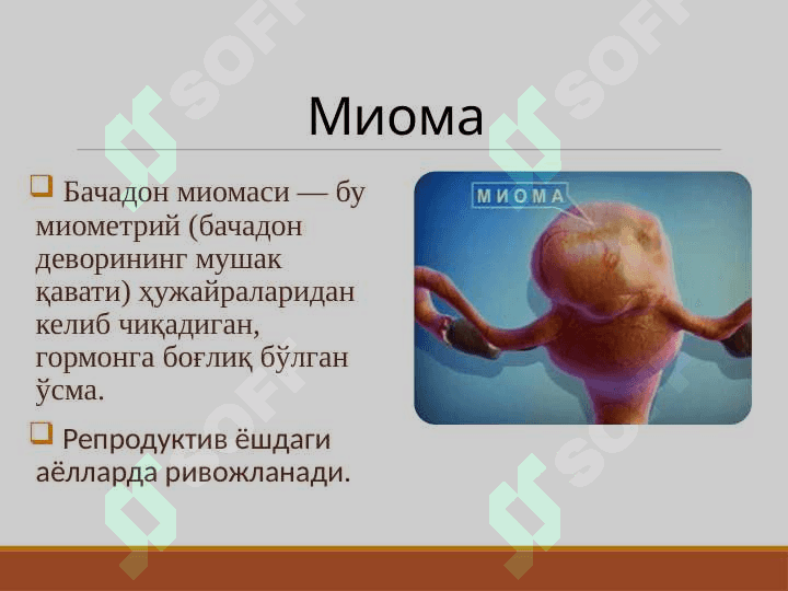 Bachadon miomasi 2