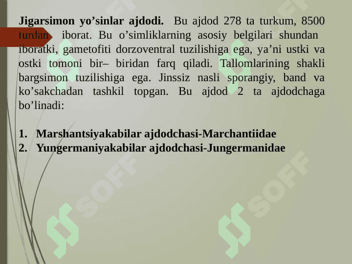YO‘SINTOIFA (MOXTOIFA) (VRYOPHYTA) O‘SIMLIKLAR BO‘LIMI 4