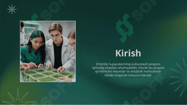 O’simliklar hujayralari kulturalashning iqtisodiy ahamiyati 3