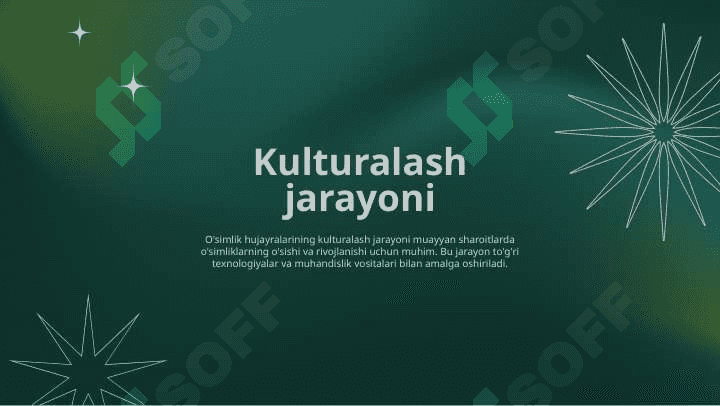O’simliklar hujayralari kulturalashning iqtisodiy ahamiyati 6