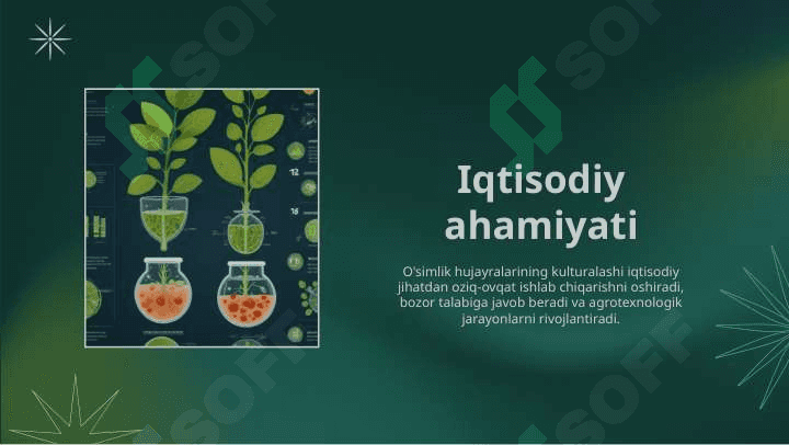 O’simliklar hujayralari kulturalashning iqtisodiy ahamiyati 7