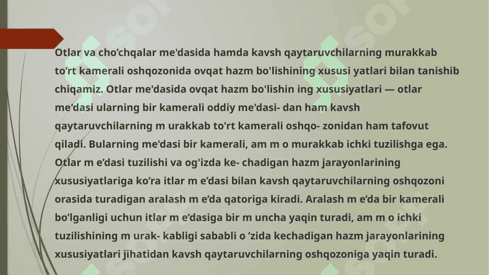 Ot va cho’chqalar me’dasida ozuqa hazmning xususiyatlari 6