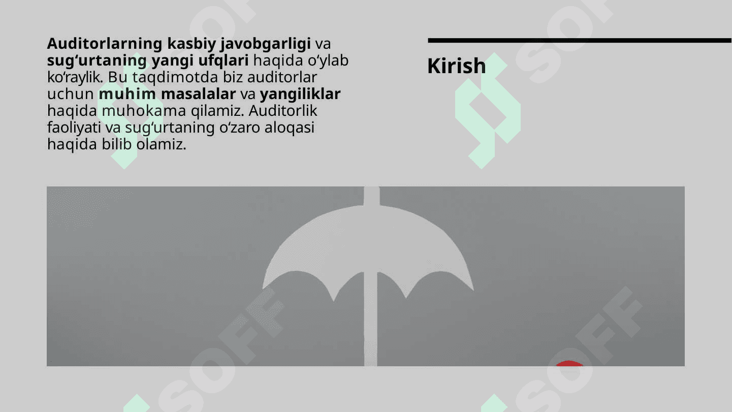 Auditorlarning Kasbiy Javobgarligi Sug‘urtaning Yangi Ufqlari 2