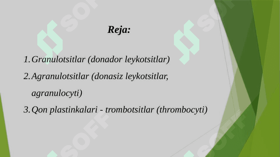 Leykositlar 2
