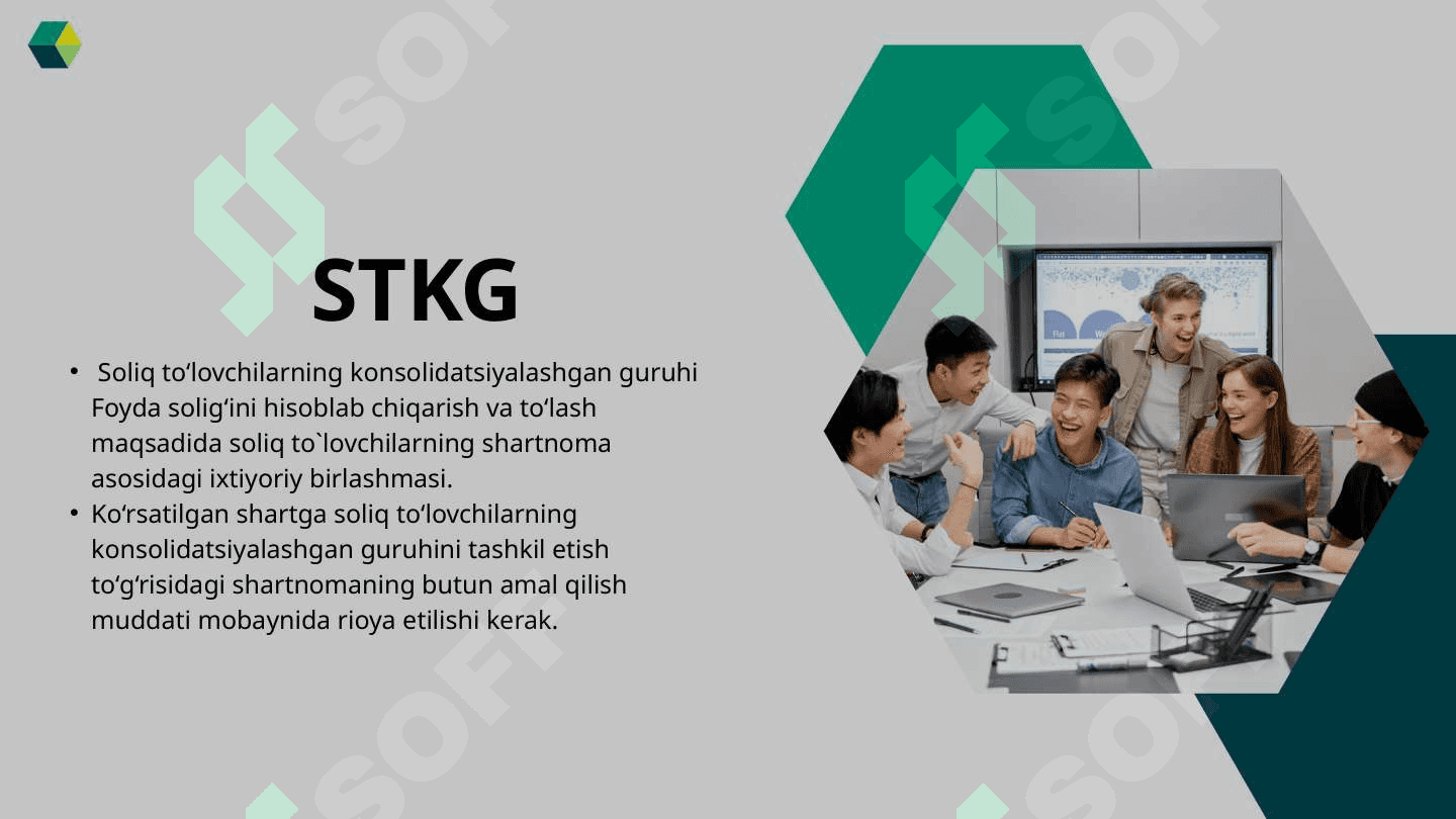 Soliq to’lovchilarning  konsolidatsiyalashgan guruhi ishtirokchilari, ularning foydasini soliqqa tortish 3