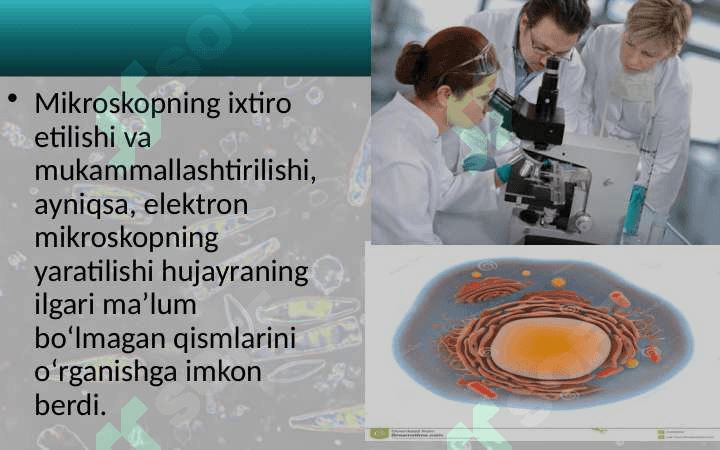 Odam organizmining hujayraviy tuzilishi 5