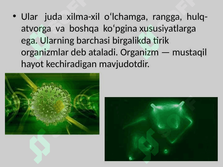 “Tirik organizmlarning o’ziga xos xususiyatlari” mavzusida tayyorlaganDARS ISHLANMA. 3