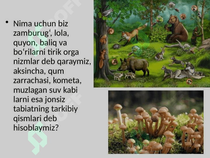 “Tirik organizmlarning o’ziga xos xususiyatlari” mavzusida tayyorlaganDARS ISHLANMA. 4