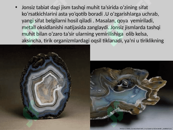 “Tirik organizmlarning o’ziga xos xususiyatlari” mavzusida tayyorlaganDARS ISHLANMA. 5