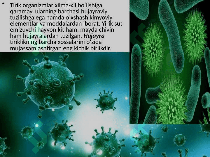 “Tirik organizmlarning o’ziga xos xususiyatlari” mavzusida tayyorlaganDARS ISHLANMA. 6