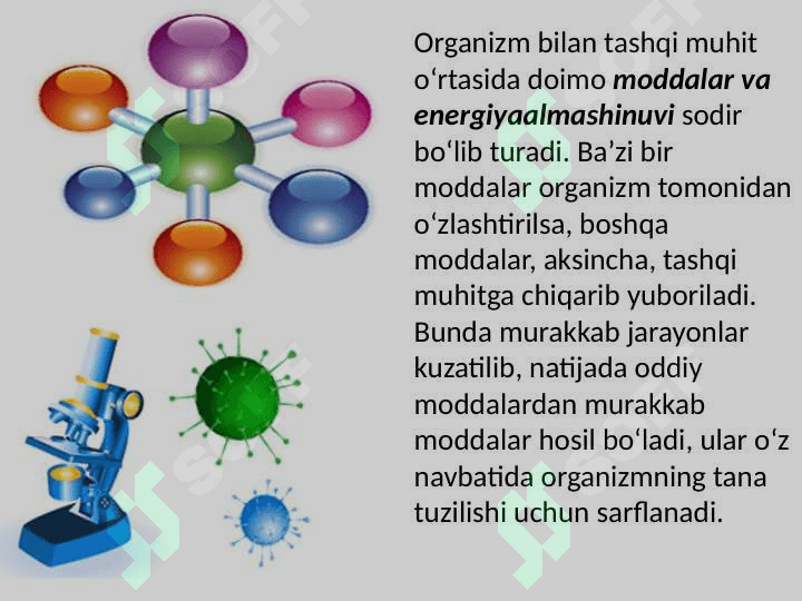 “Tirik organizmlarning o’ziga xos xususiyatlari” mavzusida tayyorlaganDARS ISHLANMA. 7