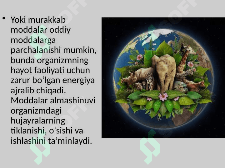 “Tirik organizmlarning o’ziga xos xususiyatlari” mavzusida tayyorlaganDARS ISHLANMA. 8