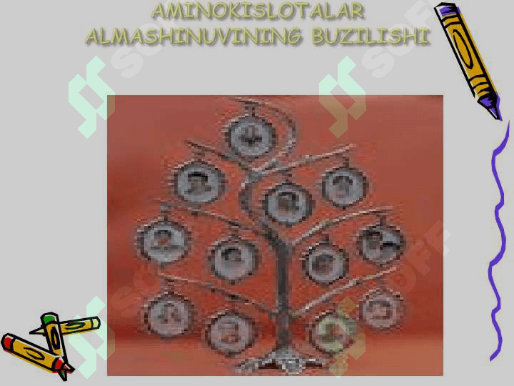 Tuĝma nuqson kasalliklari 7