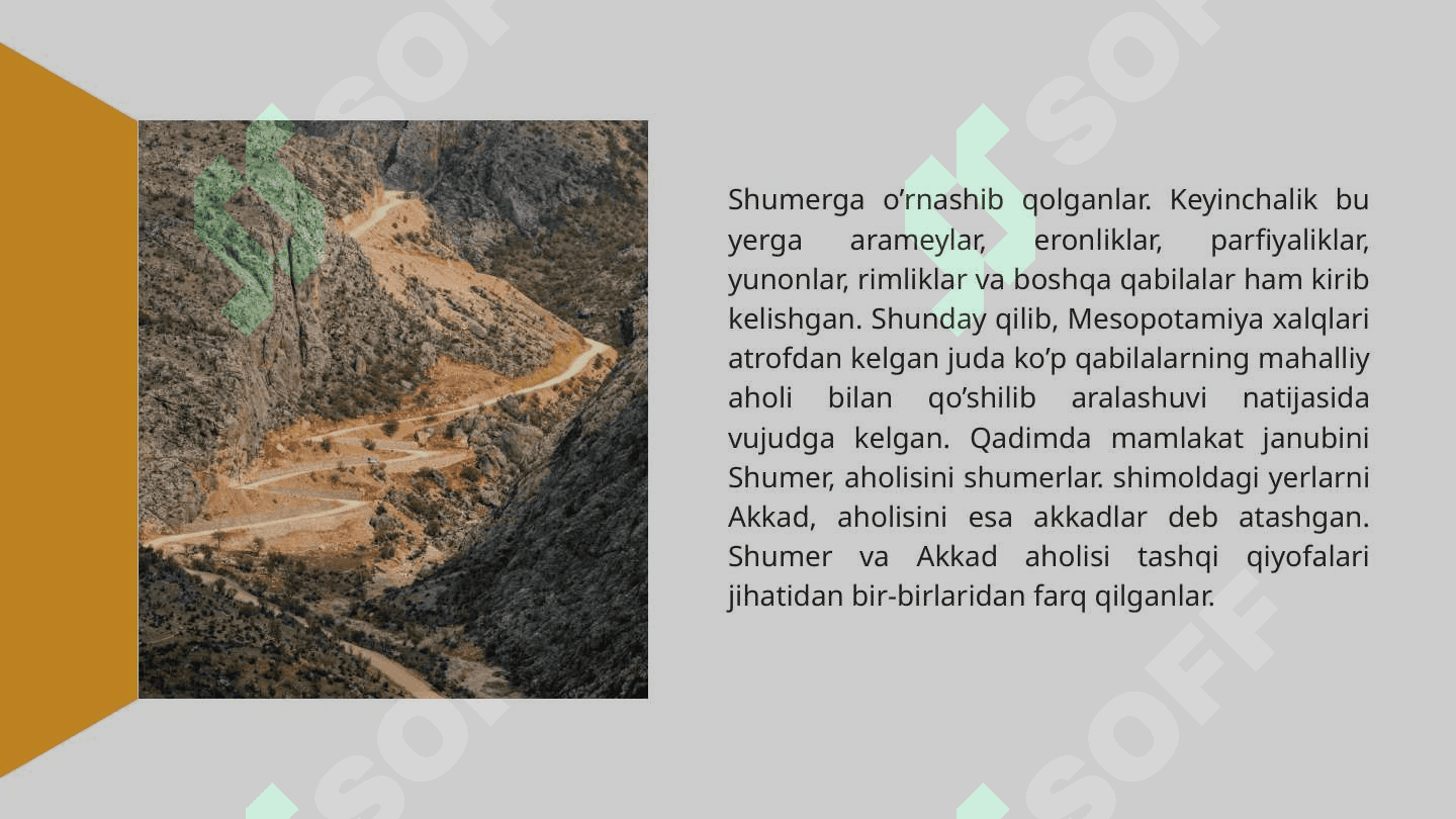SARGONIYLAR DAVLATI SARGON 1 VA MESOPOTAMIA 5