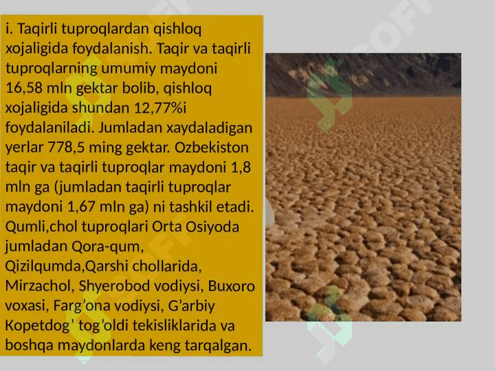 CHO`L ZONASINING TUPROQLARI 6