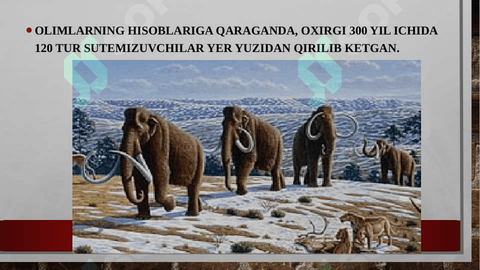 Sutemizuvchilarni muhofaza qilish 2