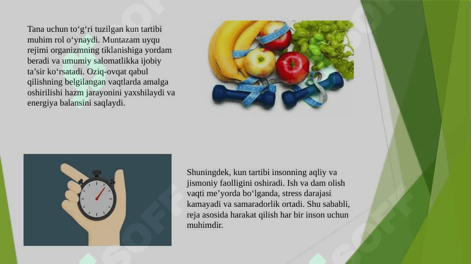 KUN TARTIBI VA UNING AHAMIYATI 6